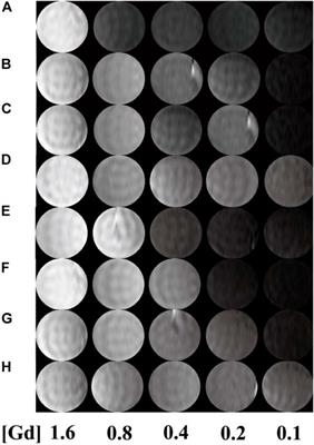 The r1 relaxivity and T1 imaging properties of dendrimer-based manganese and gadolinium chelators in magnetic resonance imaging